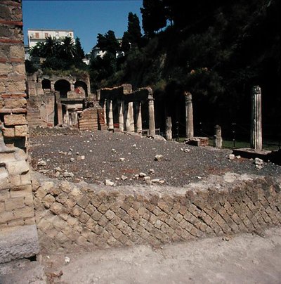 La palestra de Roman Roman